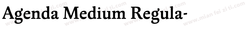Agenda Medium Regula字体转换